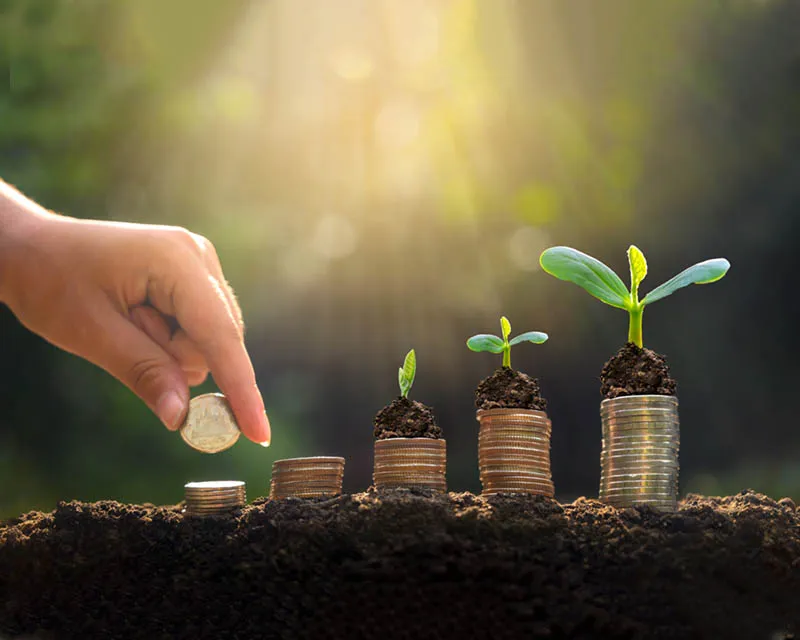 Association for Creating Together